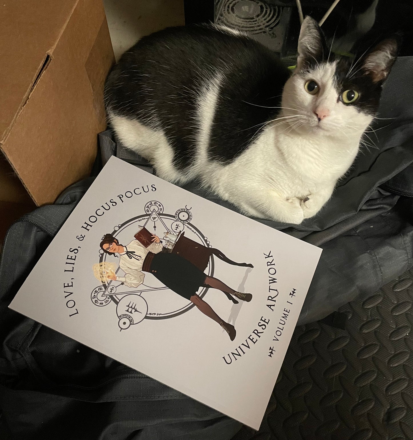 Signed PAPERBACK - Love, Lies, and Hocus Pocus Universe Artwork (Volume 1)