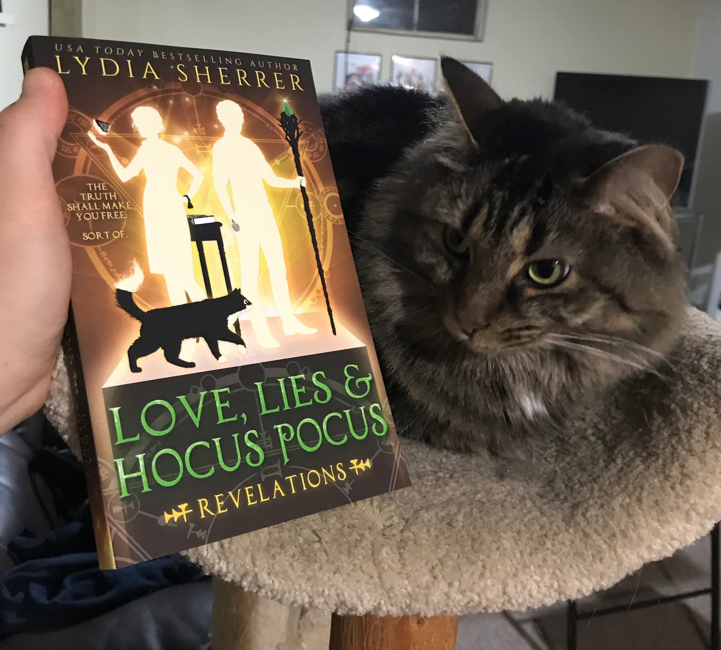 PAPERBACK - Love, Lies, and Hocus Pocus Revelations (Book 2 The Lily Singer Adventures)