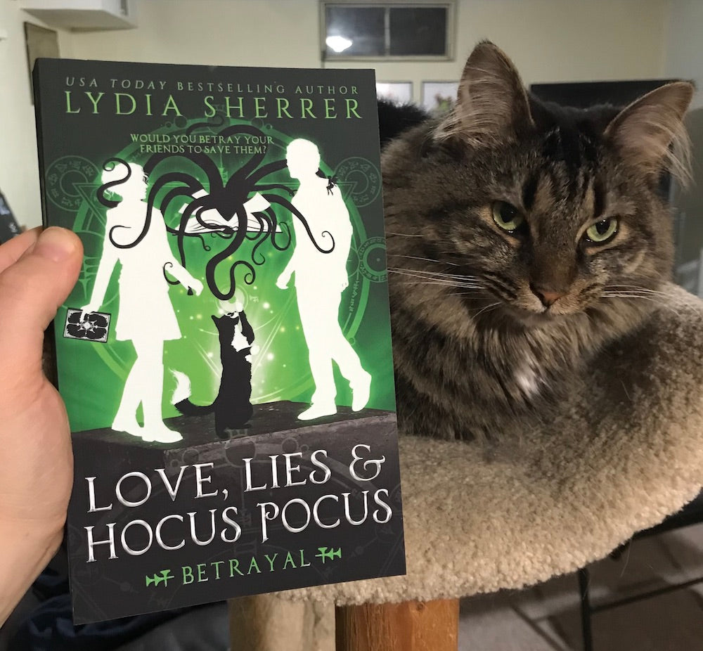 PAPERBACK - Love, Lies, and Hocus Pocus Betrayal (Book 5 The Lily Singer Adventures)