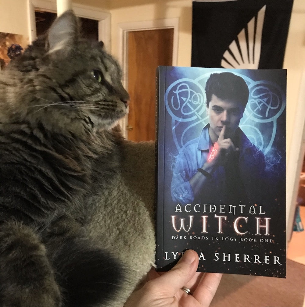 PAPERBACK - Accidental Witch (Book 1 Dark Roads Trilogy)