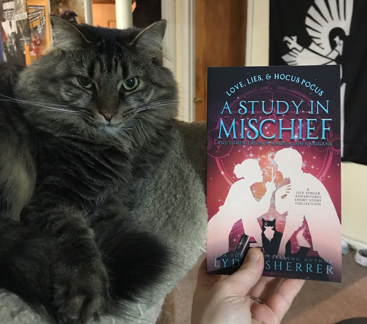 Paperback Book - Love, Lies, and Hocus Pocus: Cat Magic (A Lily Singer –  Author Lydia Sherrer