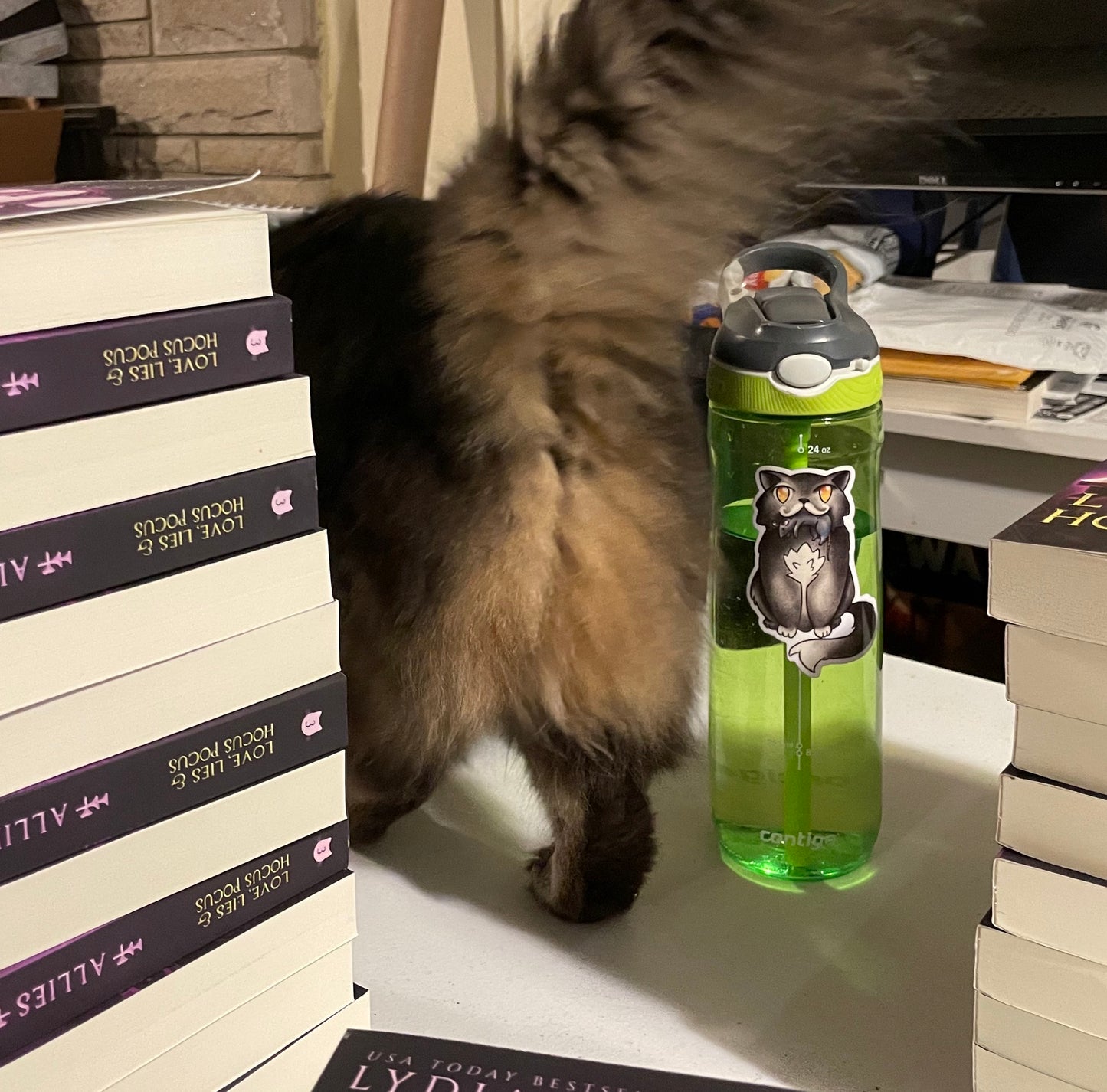 Cat Magic Sticker X2