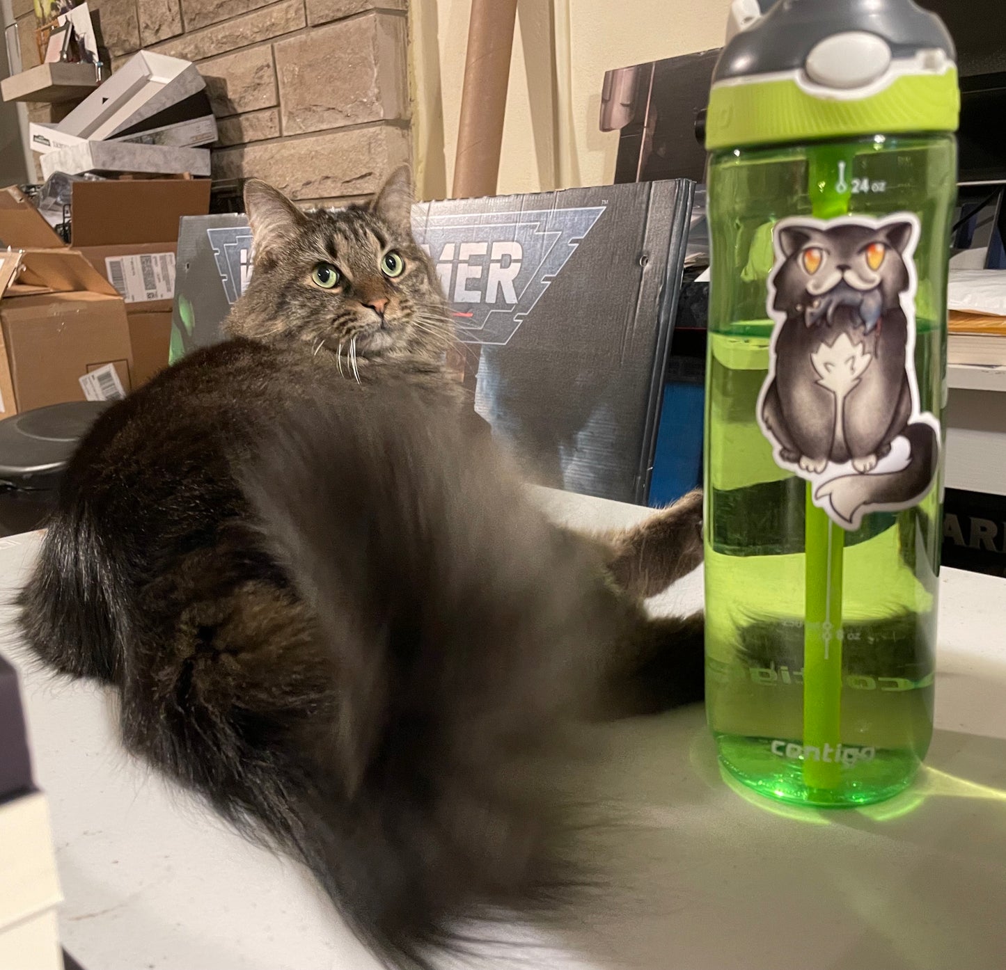 Cat Magic Sticker X2