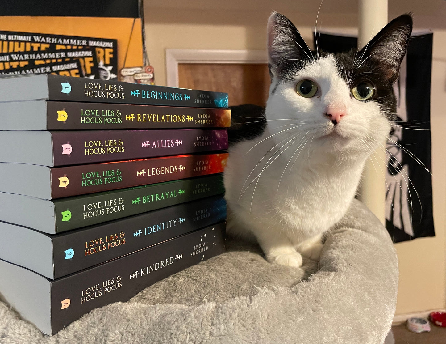 Paperback Book Bundle - Books 1-7 The Lily Singer Adventures