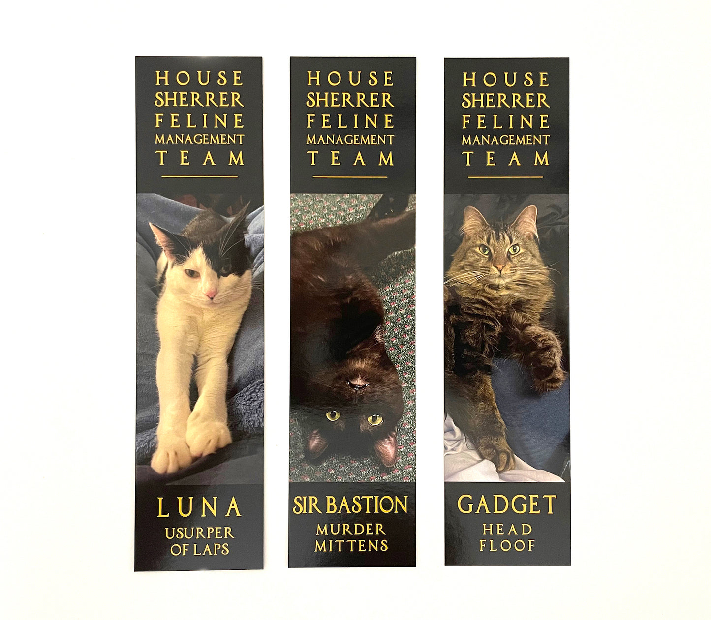 Collector's Edition Bundle Cozy Tea and Books